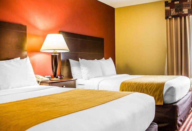 酒店 Comfort Inn & Suites