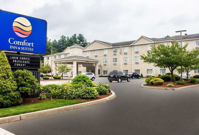 酒店 Comfort Inn & Suites