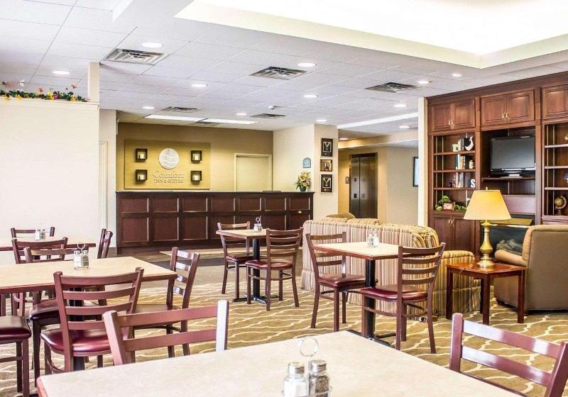酒店 Comfort Inn & Suites