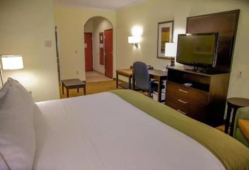 Holiday Inn Express Hotel & Suites Houston North Intercontinental, An Ihg