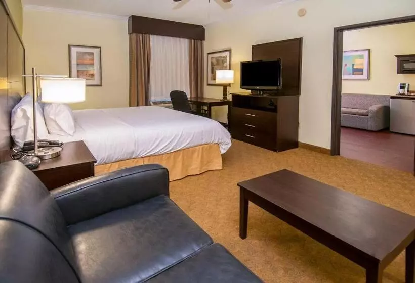 Holiday Inn Express Hotel & Suites Houston North Intercontinental, An Ihg
