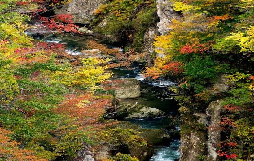 בית מלון כפרי Kameya