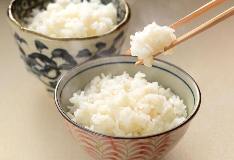 Отель Niigata Toei