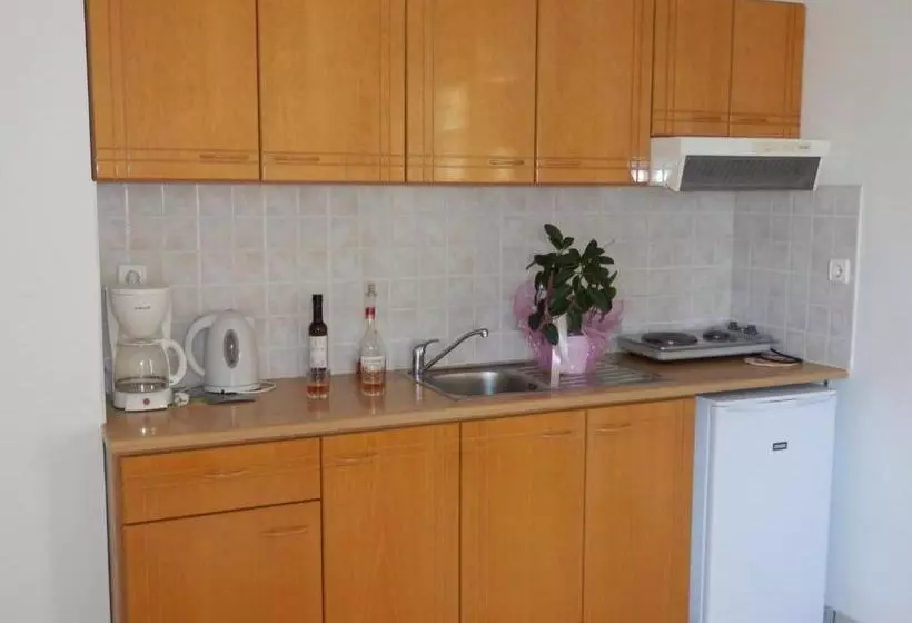 בית מלון כפרי Babis