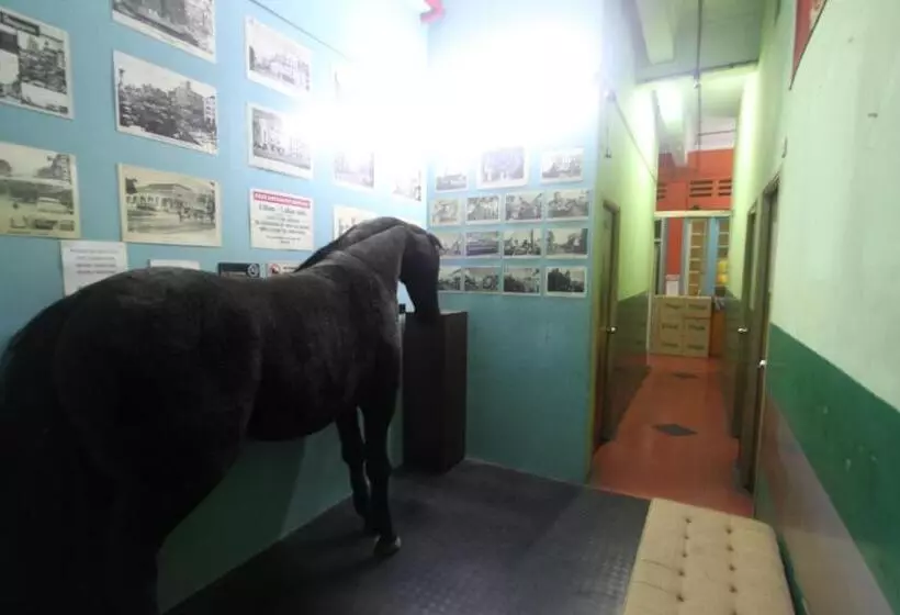 هتل Backpacker Cozy Corner Guesthouse
