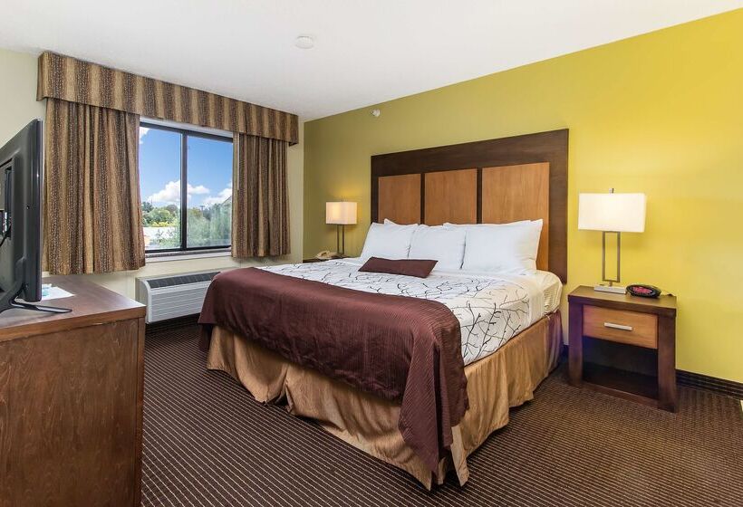 Отель White Pine Inn & Suites