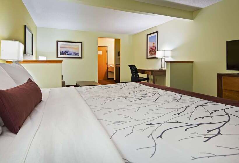 Отель White Pine Inn & Suites