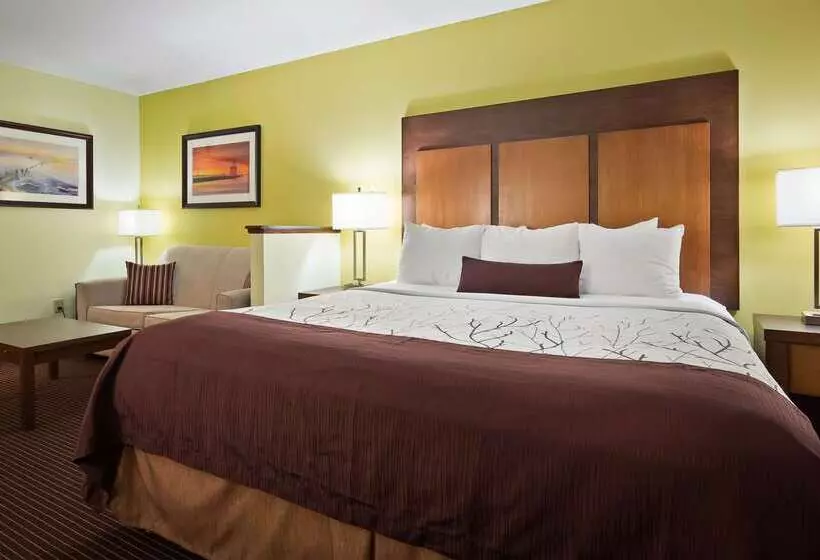 호텔 White Pine Inn & Suites