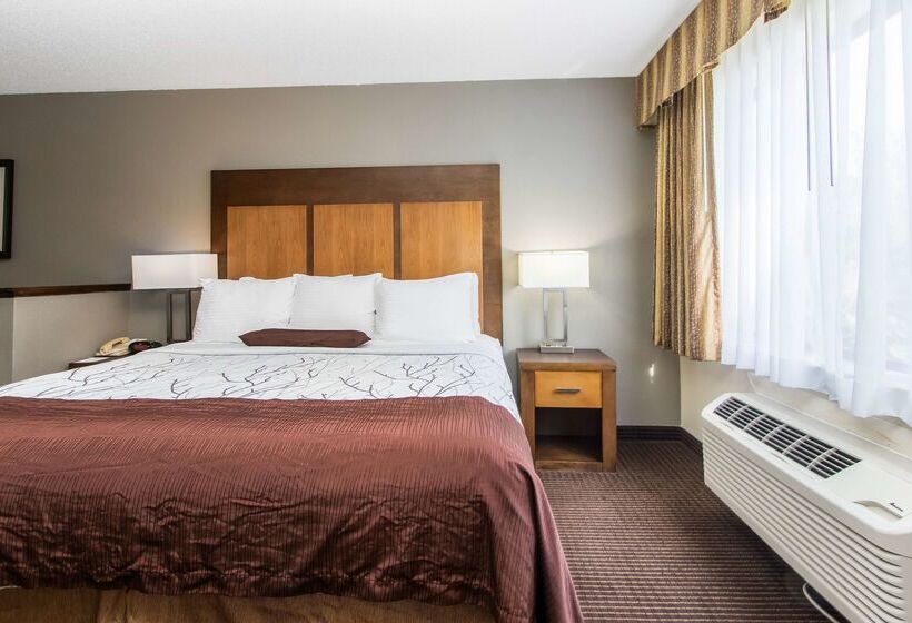 Отель White Pine Inn & Suites