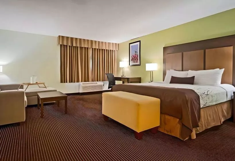 호텔 White Pine Inn & Suites