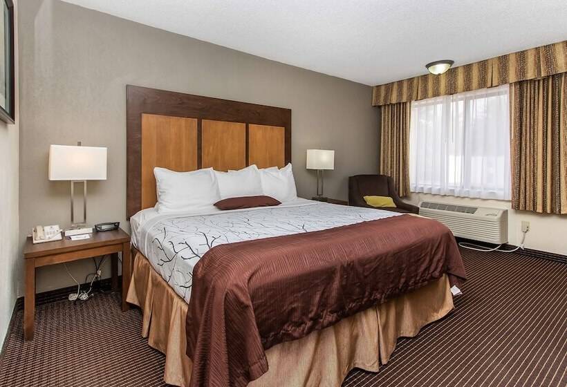 Отель White Pine Inn & Suites