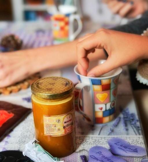 Old Town Hostel Split