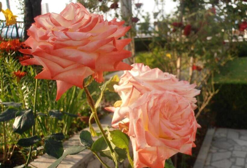 בית מלון כפרי Metković