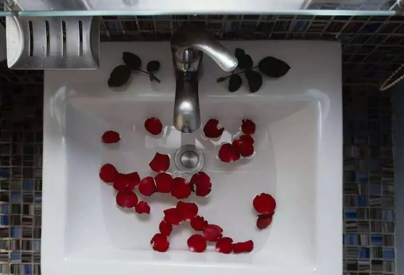 בית מלון כפרי Franchise One