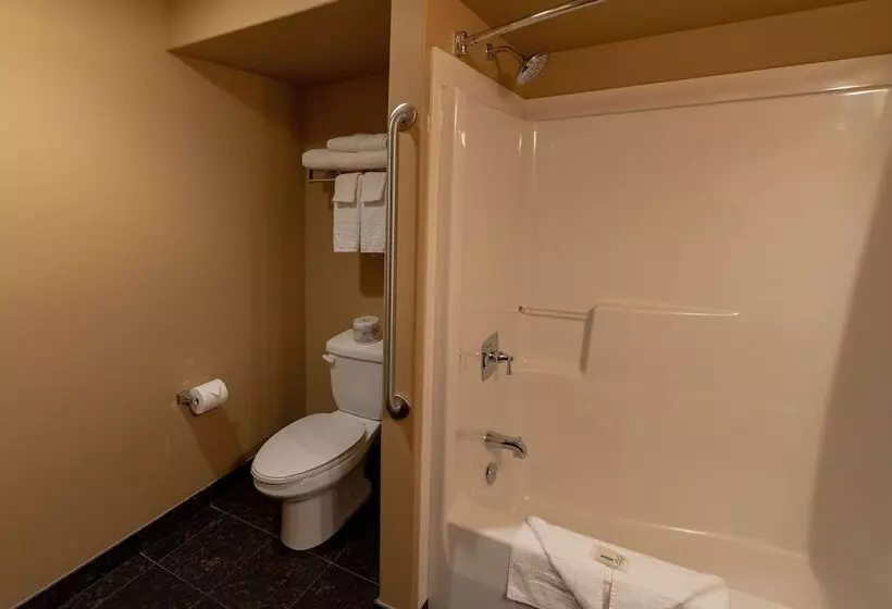 호텔 Camrose Resort Casino