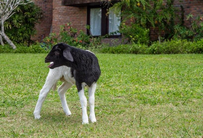 בית מלון כפרי Casa Grande Gravatá