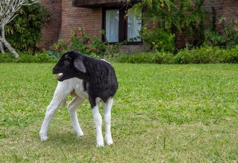 ホテル Casa Grande Gravatá