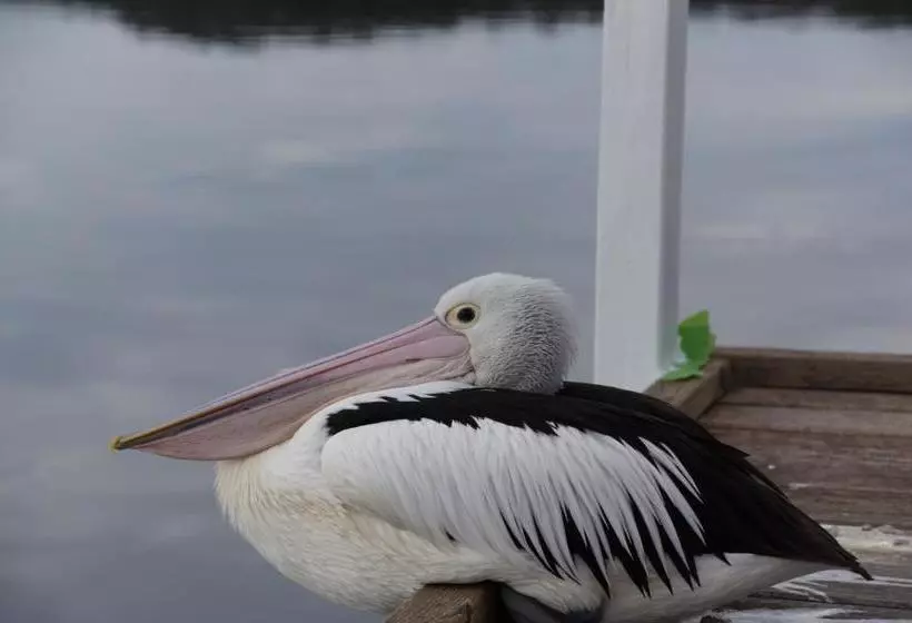 فندق Gipsy Point Lakeside