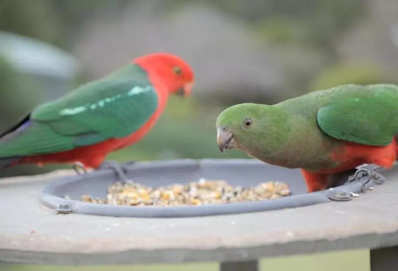 فندق Gipsy Point Lakeside