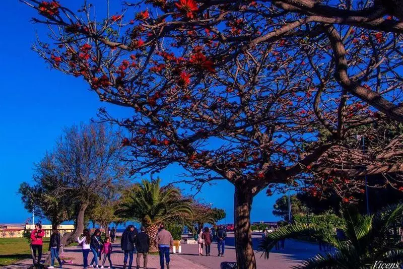 호텔 Il Nocchiero City