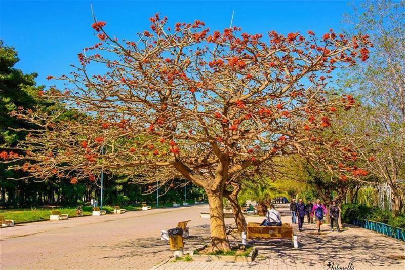 فندق Il Nocchiero City