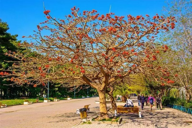 호텔 Il Nocchiero City