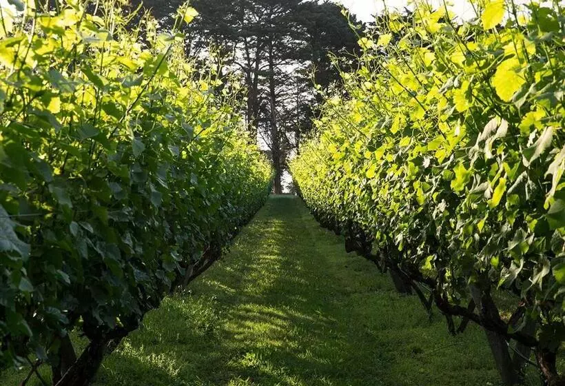 ホテル Lancemore Lindenderry Red Hill