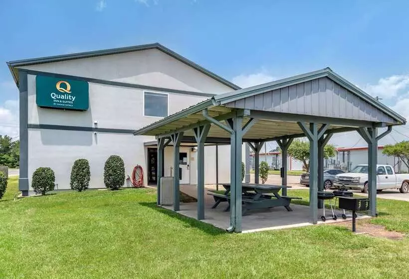 酒店 Quality Inn & Suites