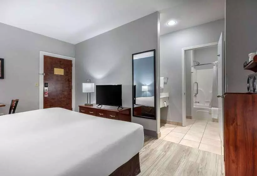 酒店 Quality Inn & Suites