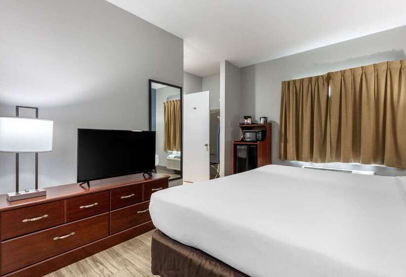 호텔 Quality Inn & Suites