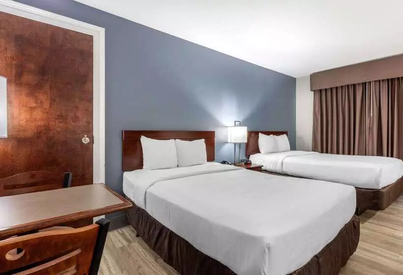 酒店 Quality Inn & Suites