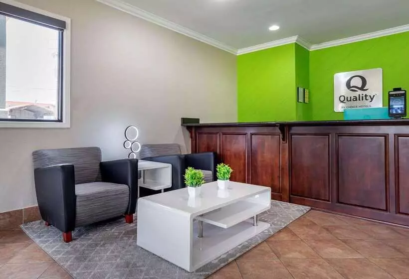 酒店 Quality Inn & Suites