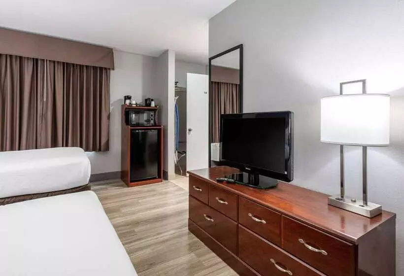 酒店 Quality Inn & Suites