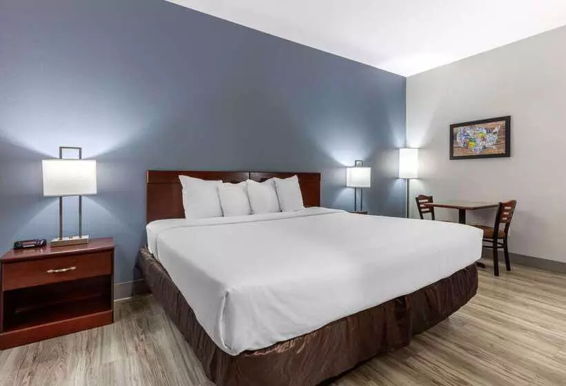 酒店 Quality Inn & Suites