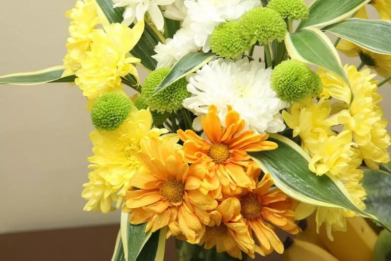 هتل Riverview Resort And Conference Center