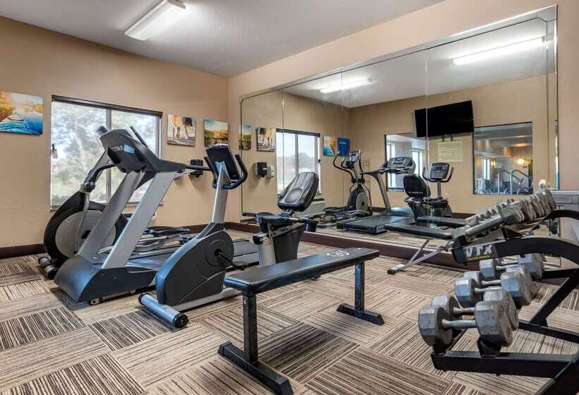 هتل Comfort Inn & Suites