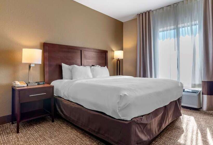 هتل Comfort Inn & Suites