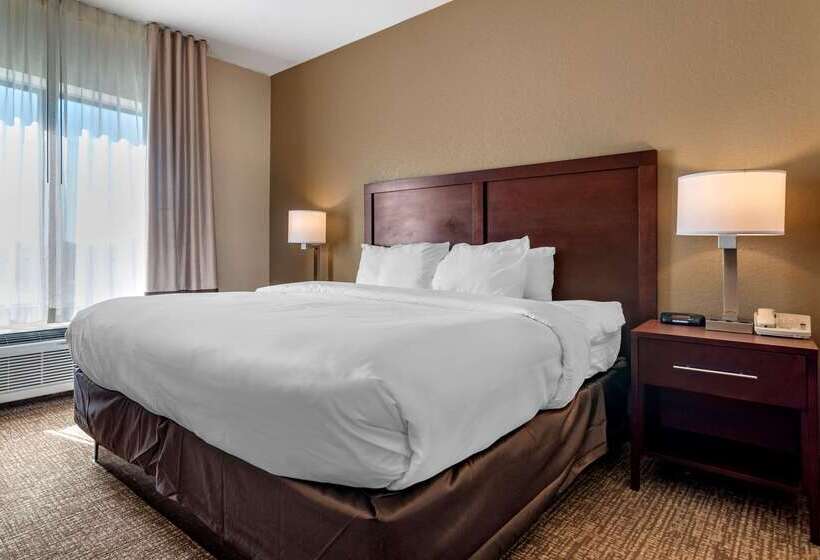 هتل Comfort Inn & Suites