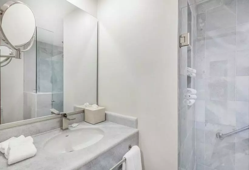 هتل Gamma Colima Garden