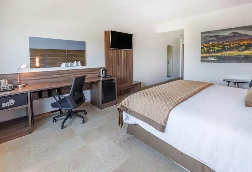 هتل Gamma Colima Garden