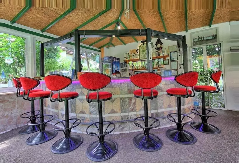 Отель Mandalinn