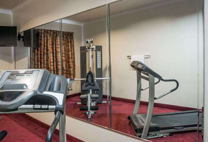 בית מלון כפרי Super 8 By Wyndham Brookshire Tx