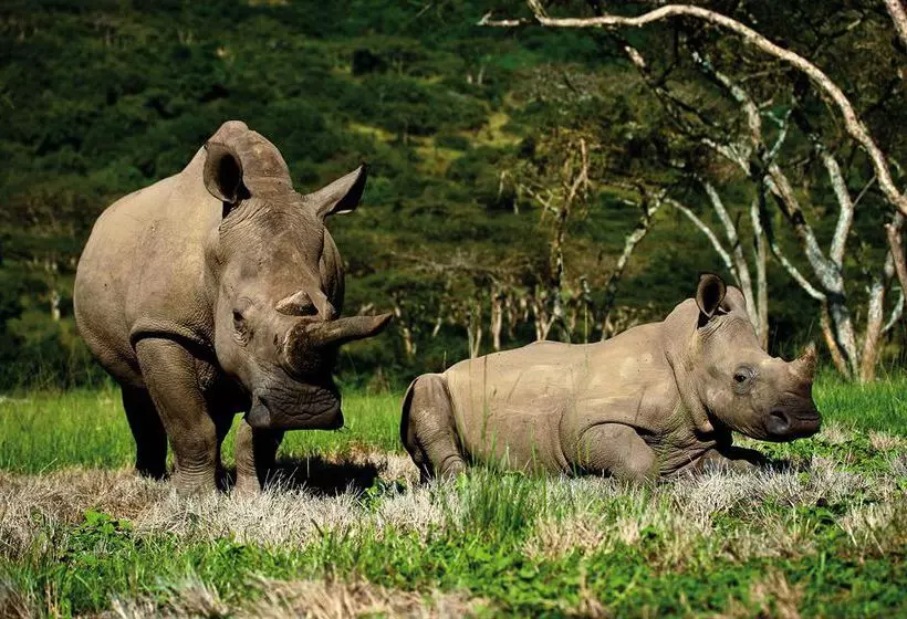 Karkloof Safari Spa