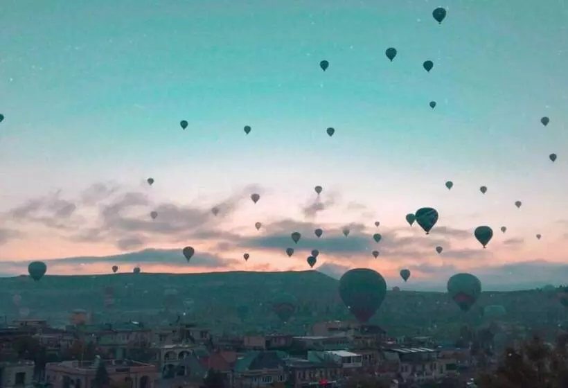 膳宿费 Elysee Cave House