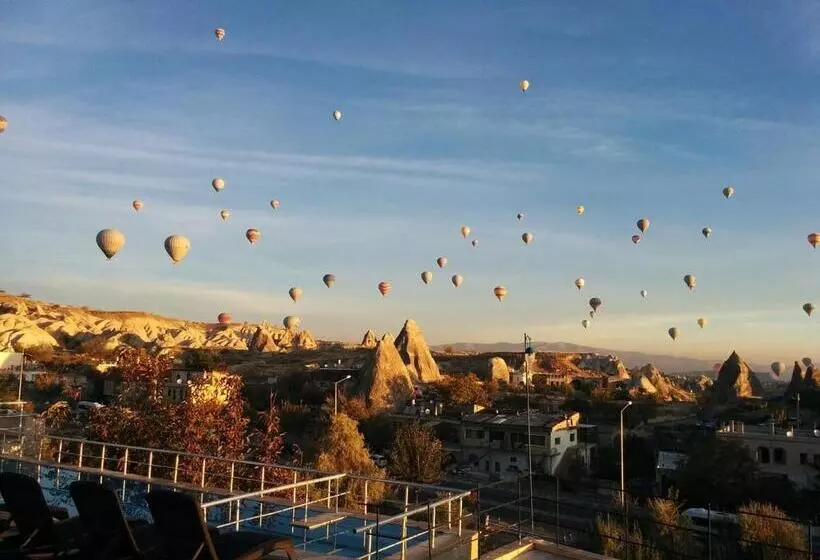 膳宿费 Elysee Cave House