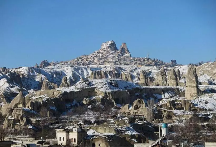 膳宿费 Elysee Cave House