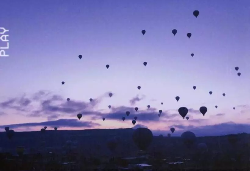 膳宿费 Elysee Cave House