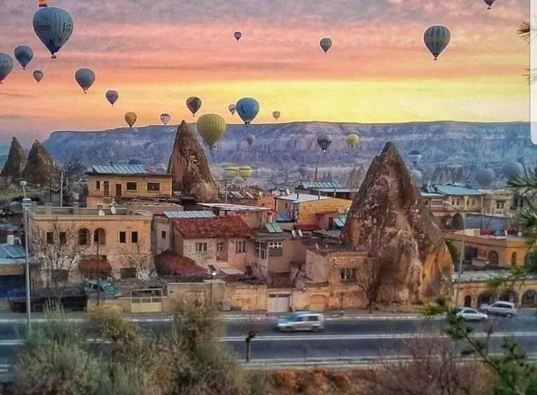 膳宿费 Elysee Cave House