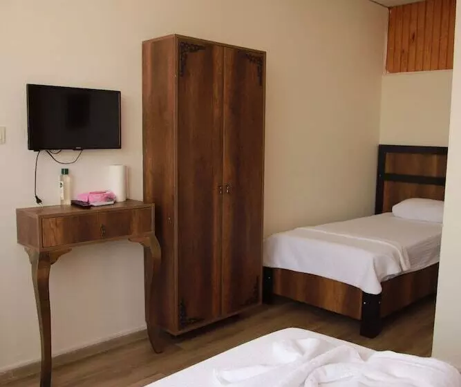 هتل Aslan Konuk Evi