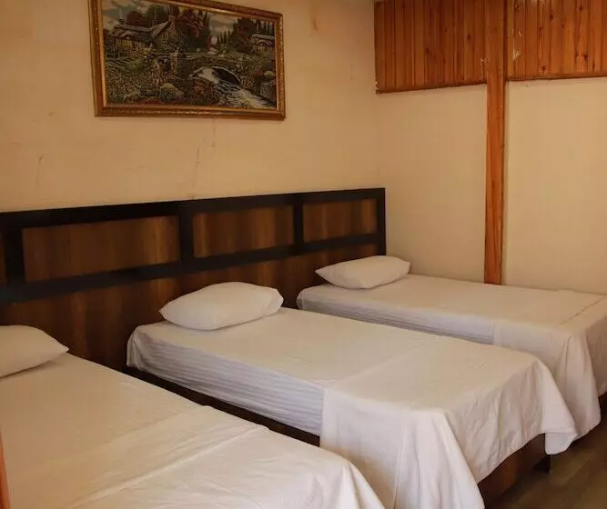 هتل Aslan Konuk Evi